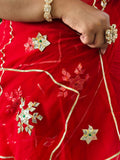 Pure Chiffon fabric Charkhi And Sachcha Gota Patti Jaal Work